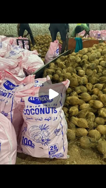 جوز هند نصف مقشور في أكياس تصدير AL NOOR EXIM