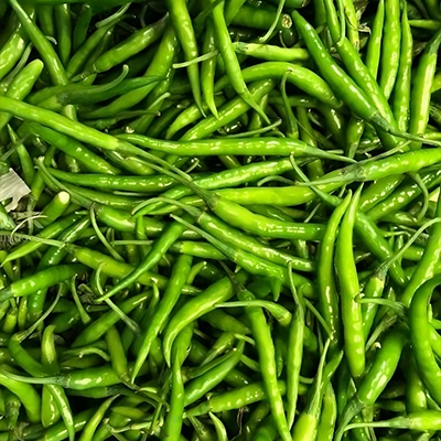 Fresh Indian green chilli